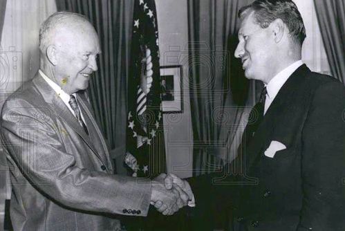 Ike tapped Nelson Rockefeller to be on a committee to confront waster in the government and study ideas for reorganization. 
